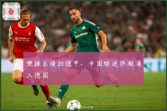 樊振东横扫德甲，中国球迷热潮涌入德国